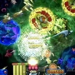 探索双响龙游戏机 广州市番禺区广娱动漫产品开发部的创新之作